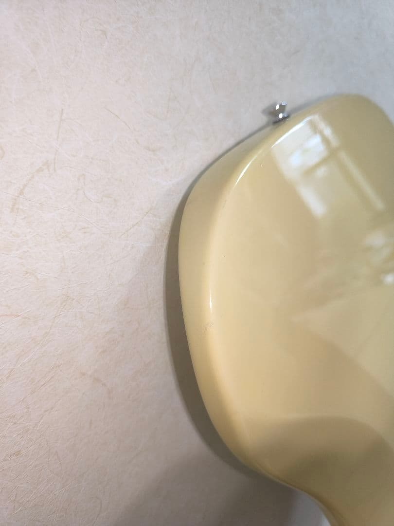 ベース Bacchus / WOODLINE P-Classic