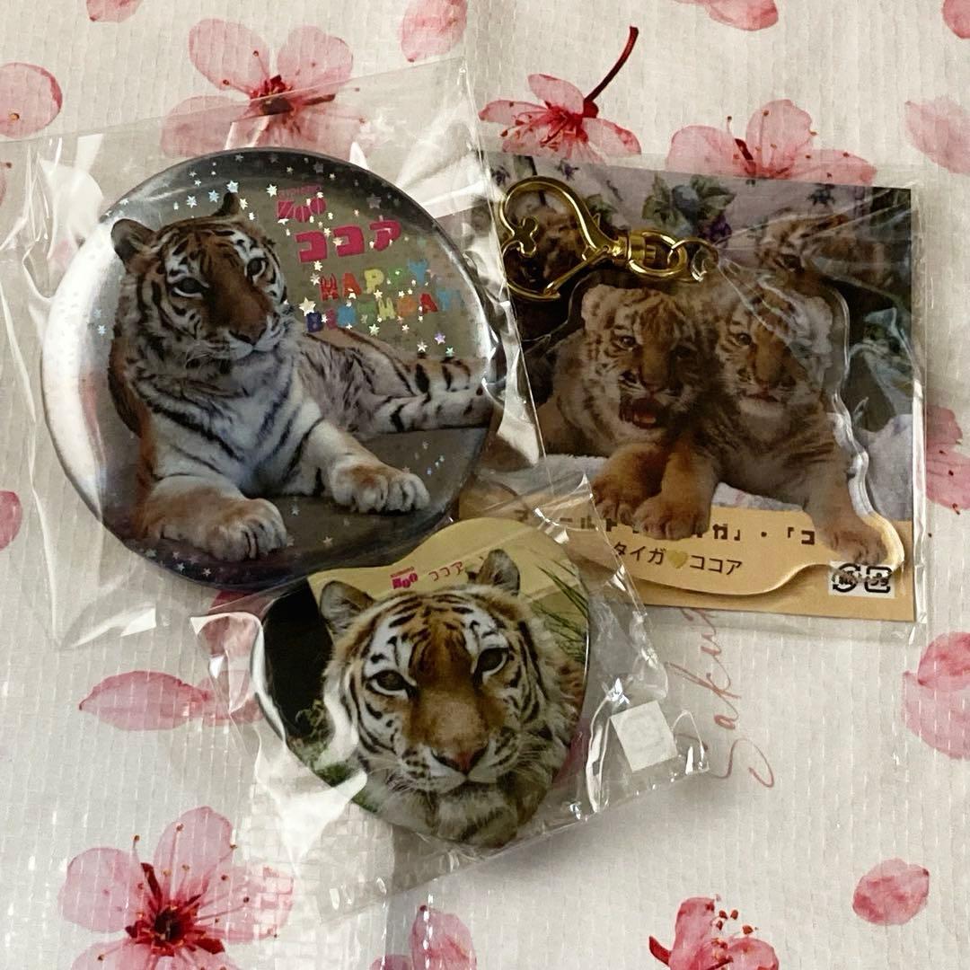 ★釧路市動物園　ココアちゃん