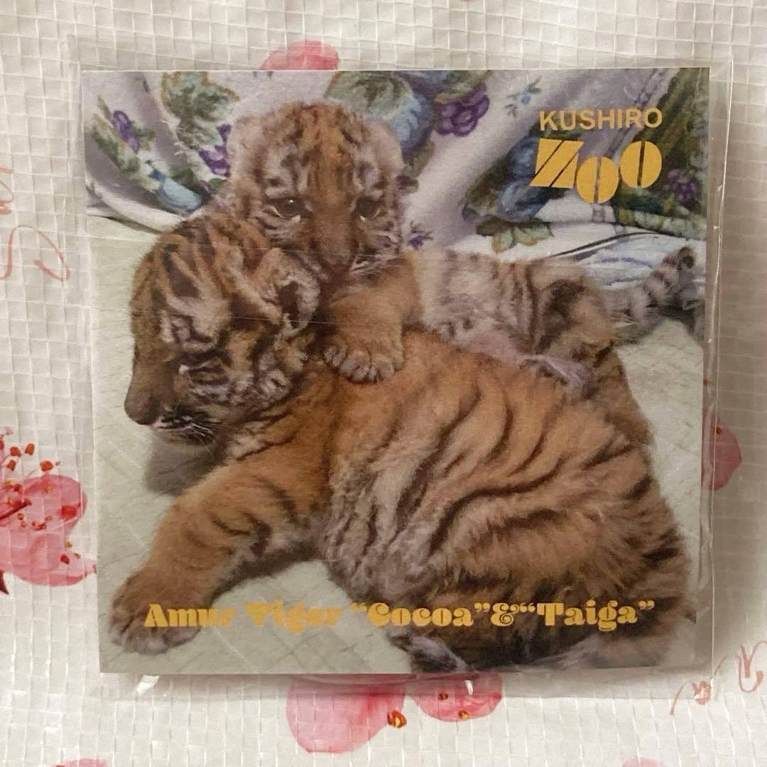 ★釧路市動物園　ココアちゃん