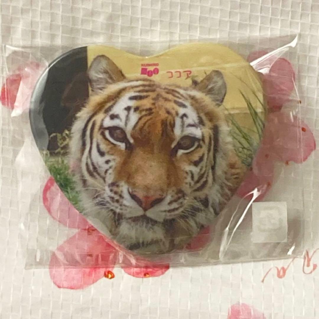 ★釧路市動物園　ココアちゃん