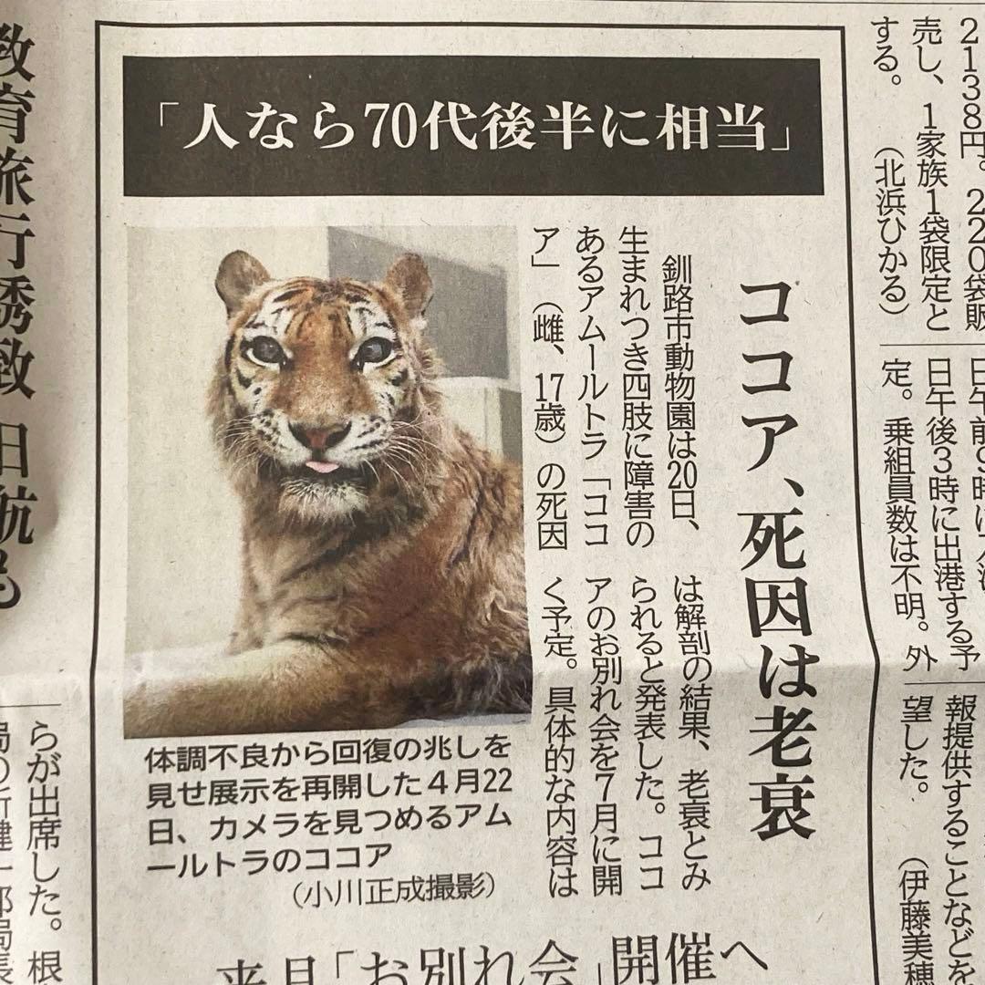 ★釧路市動物園　ココアちゃん