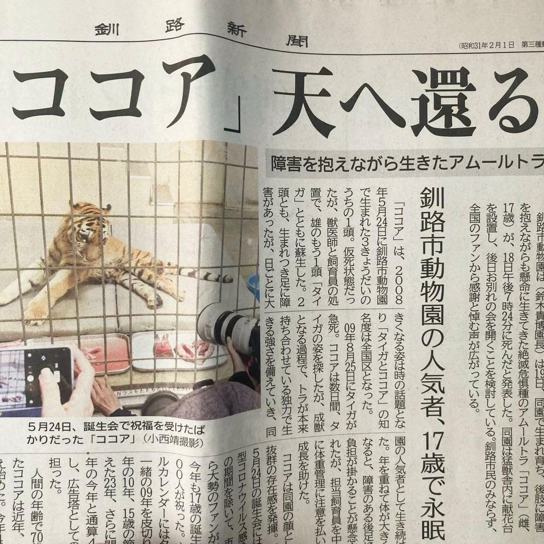 ★釧路市動物園　ココアちゃん