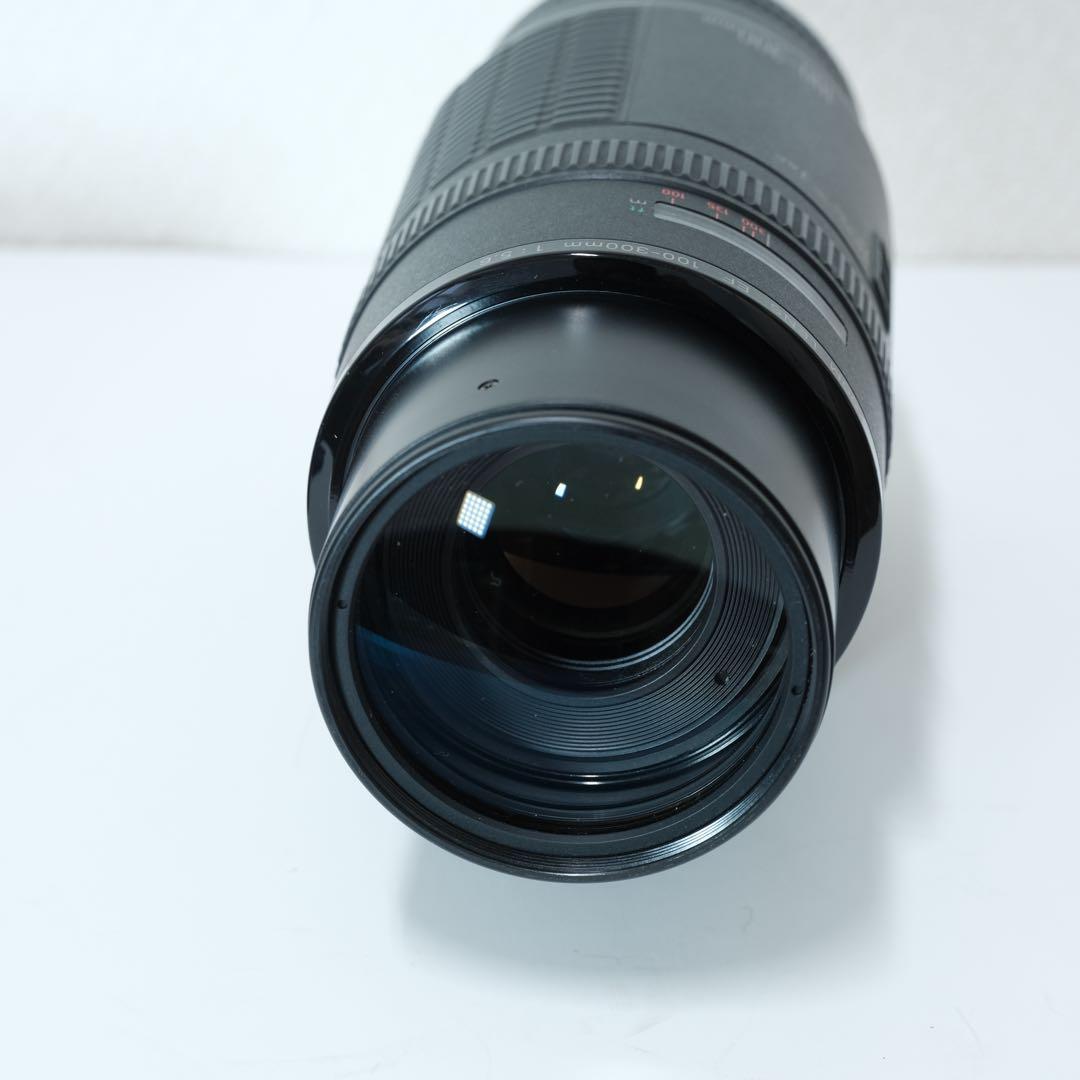 Canon EF 100-300mm F5.6 レンズ