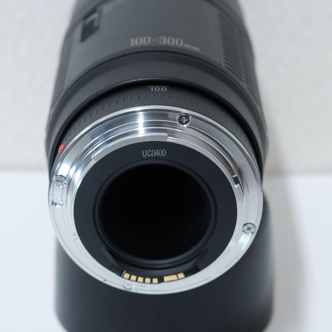 Canon EF 100-300mm F5.6 レンズ