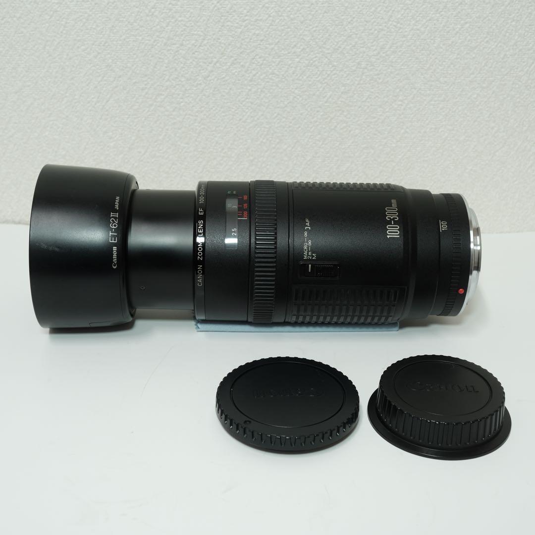 Canon EF 100-300mm F5.6 レンズ