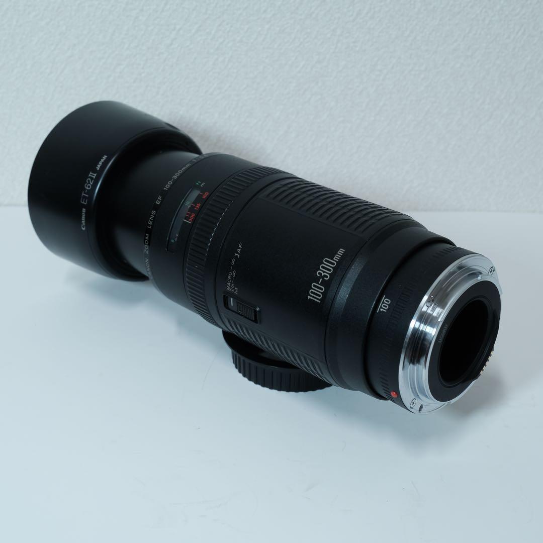 Canon EF 100-300mm F5.6 レンズ