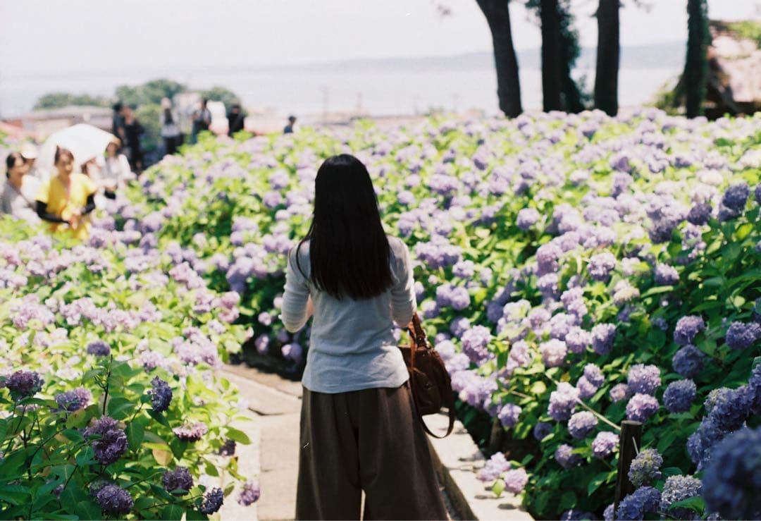 【良品】CONTAX T2　チタンシルバー　作例有