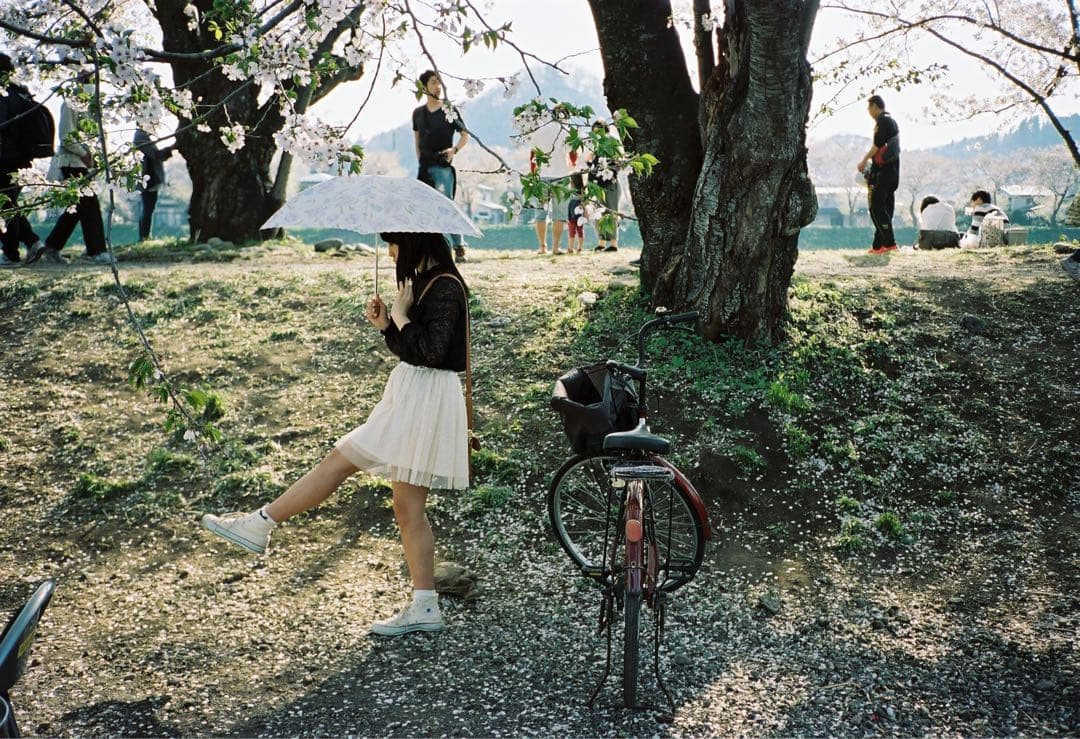 【良品】CONTAX T2　チタンシルバー　作例有