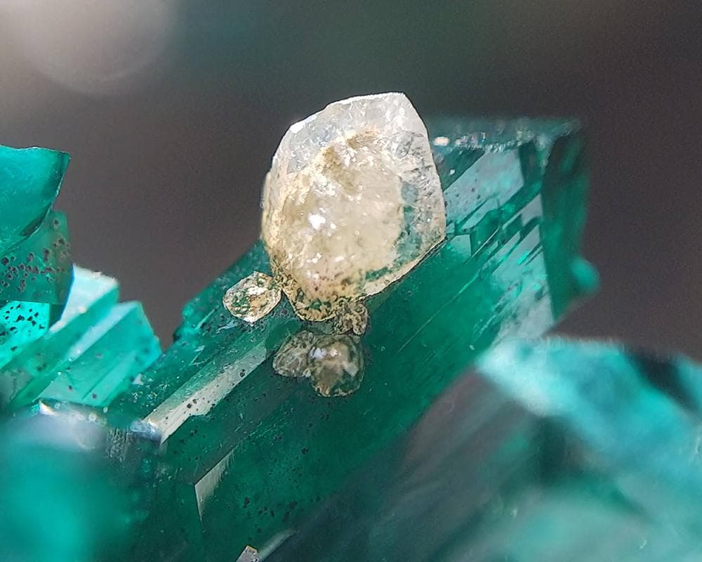 482 ダイオプテーズ 翠銅鉱 クラスター コンゴ産