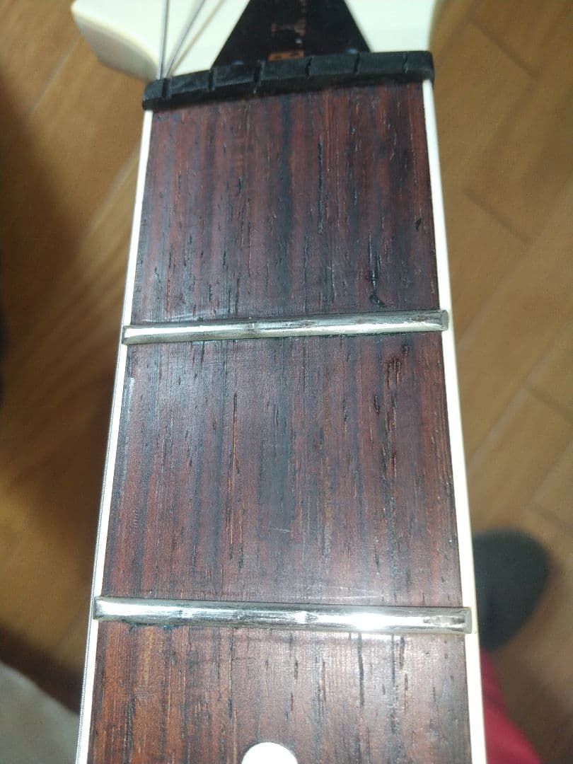 FERNANDES TE70？75-BT BUCK-TICK f.g.i pu