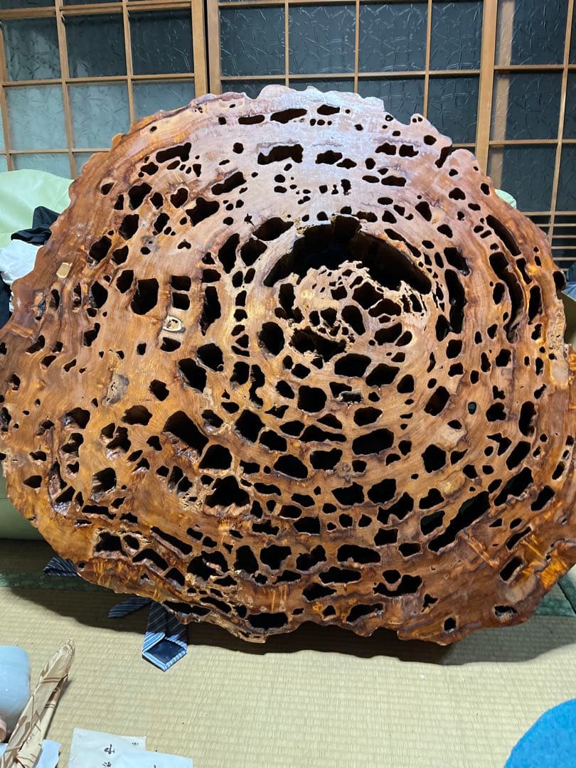 格安！樹齢1000年以上！屋久杉テーブル