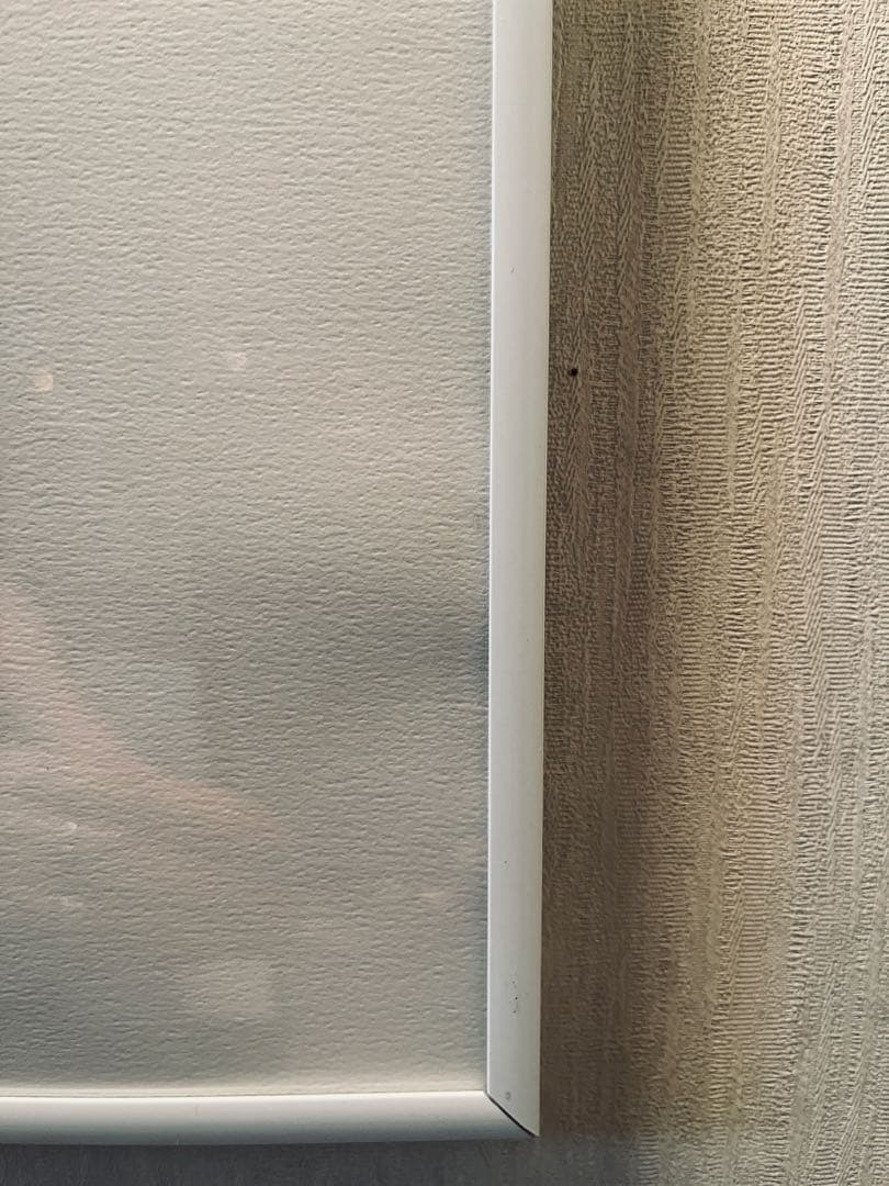 ベルナール・ビュッフェ<小さな海岸> 1979リトグラフ