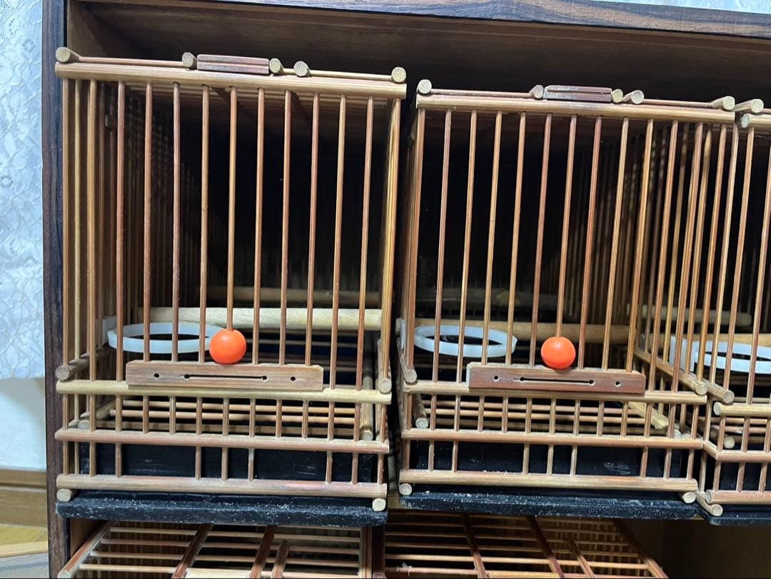 メジロカゴ６個とケース