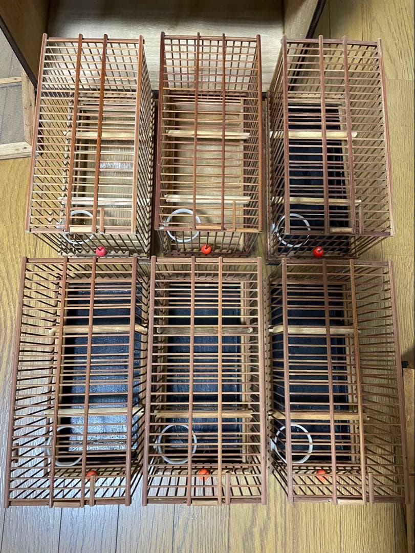 メジロカゴ６個とケース