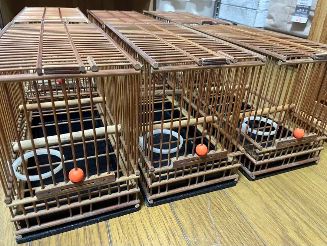 メジロカゴ６個とケース