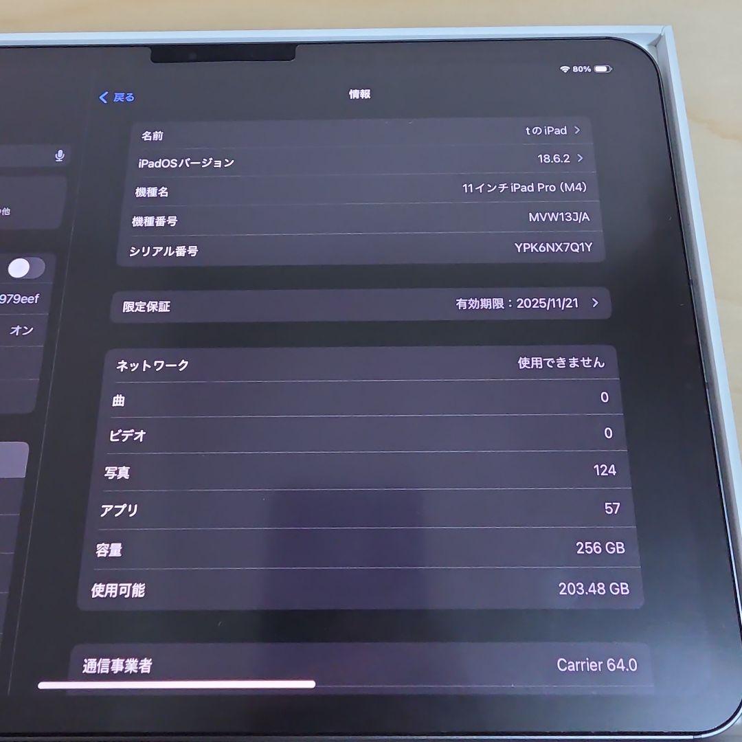 iPad pro M4 11インチ　wifi cellular