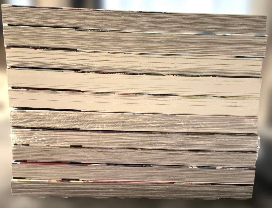 ある日、お姫様になってしまった件について 1-10巻