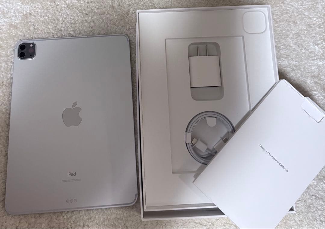 iPadPro(第2世代)11インチ 256GB Wi-Fi+Cellular