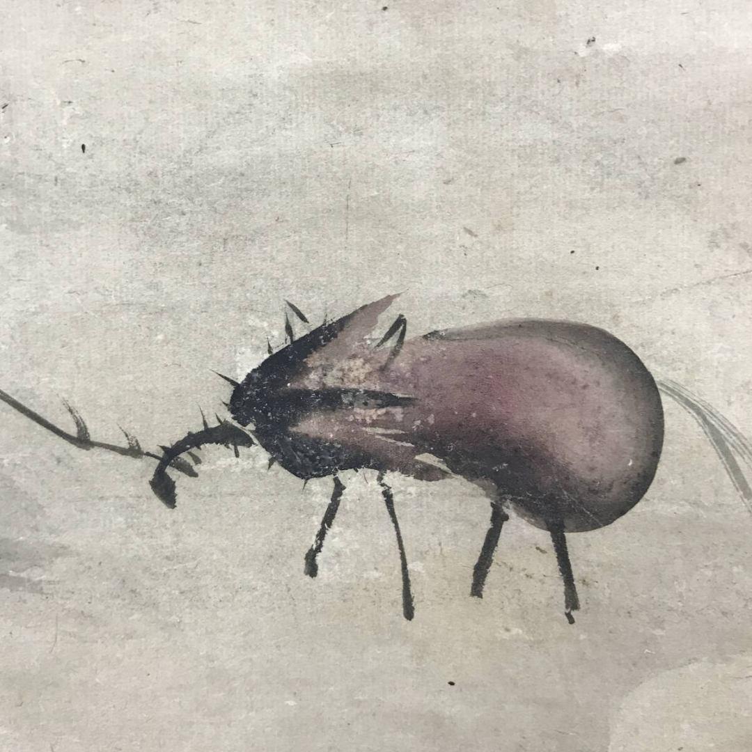 真作/狩野常信/仙人図/茄子図/掛軸☆宝船☆AK-293