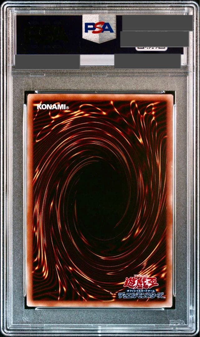 【PSA10/ワンオーナー品】聖霊獣騎 レイラウタリ 25TH