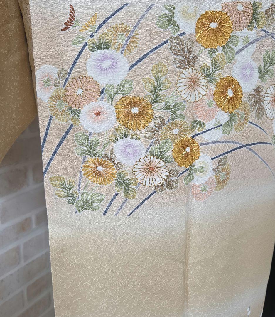 訪問着4点フルセット、着物、袋帯、帯締め、帯揚げ ゆき丈69