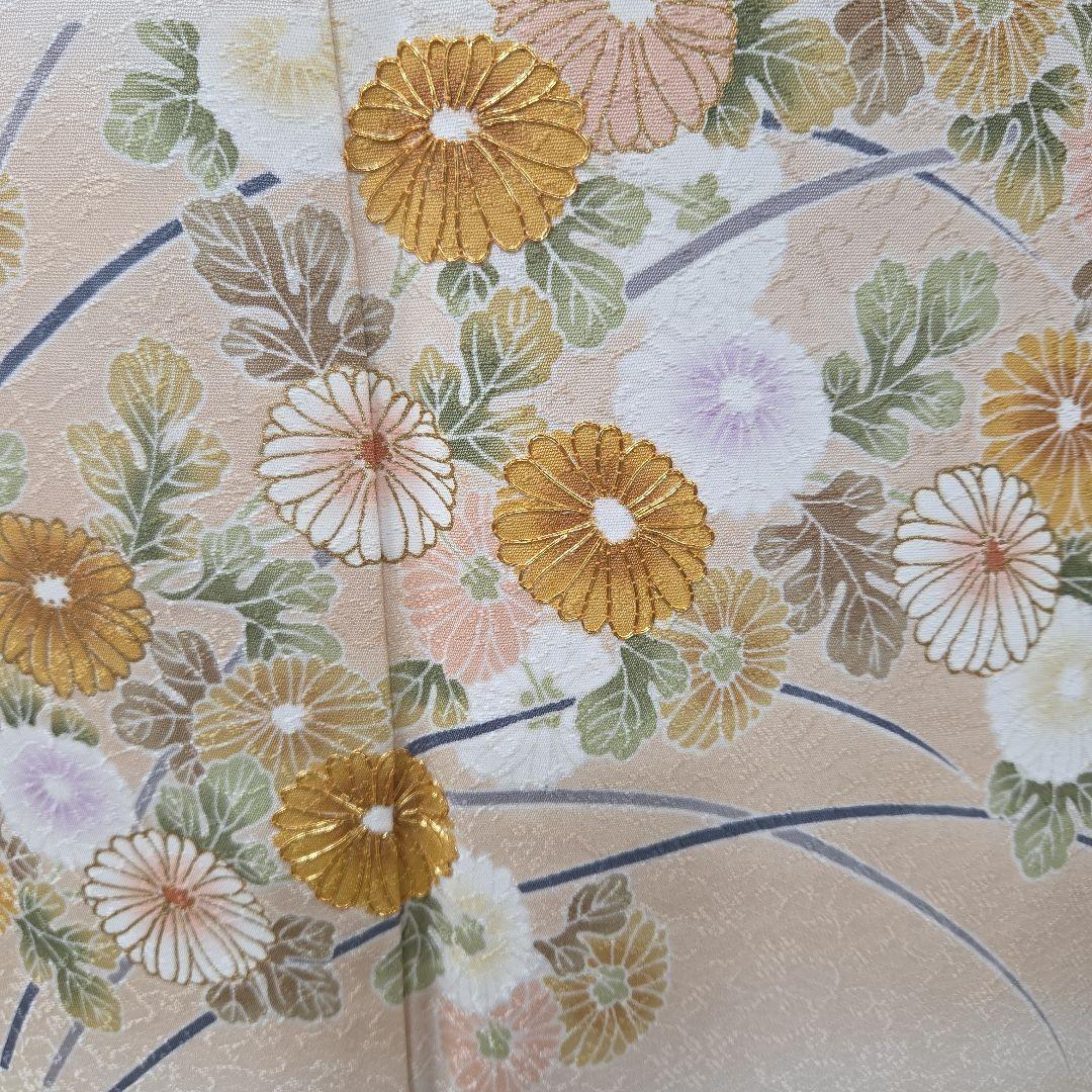 訪問着4点フルセット、着物、袋帯、帯締め、帯揚げ ゆき丈69