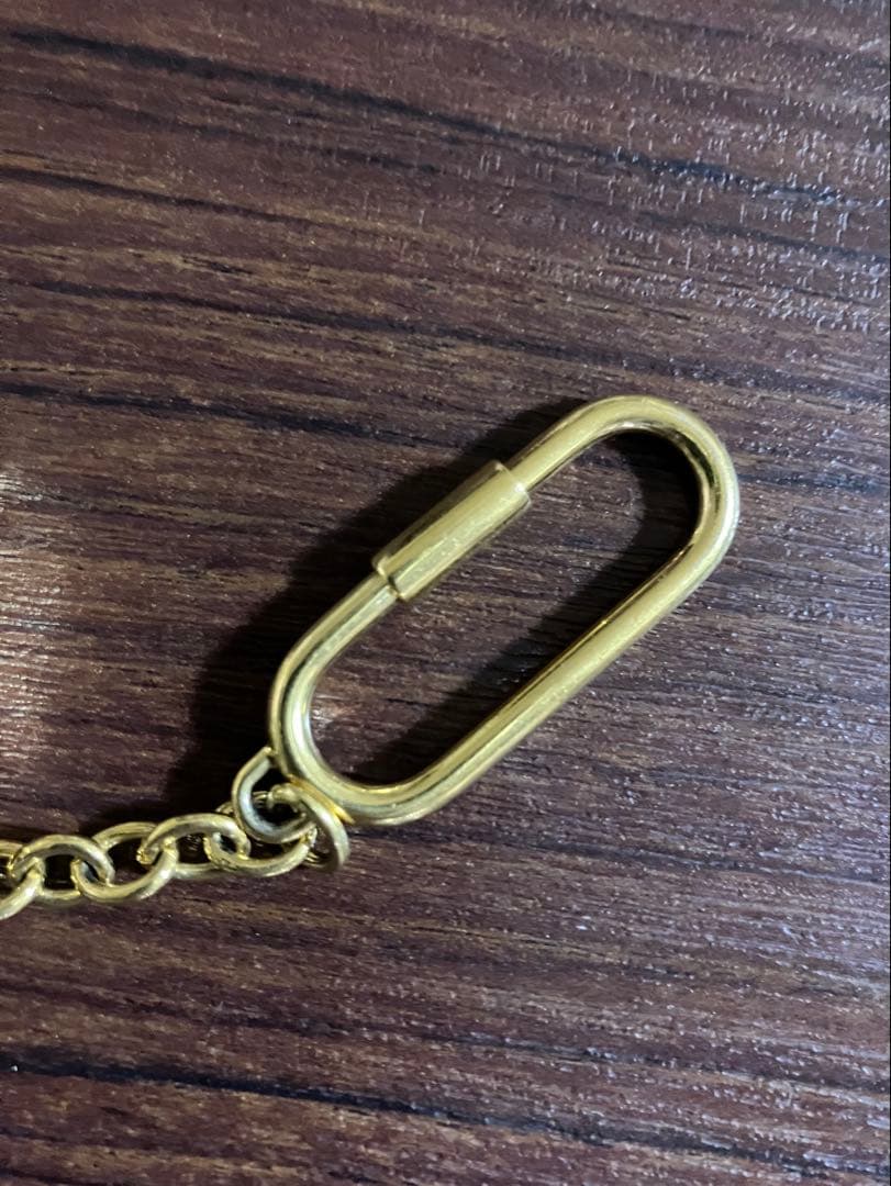 CELINE プリント入りトリオンフキャンバス ケース パスケース