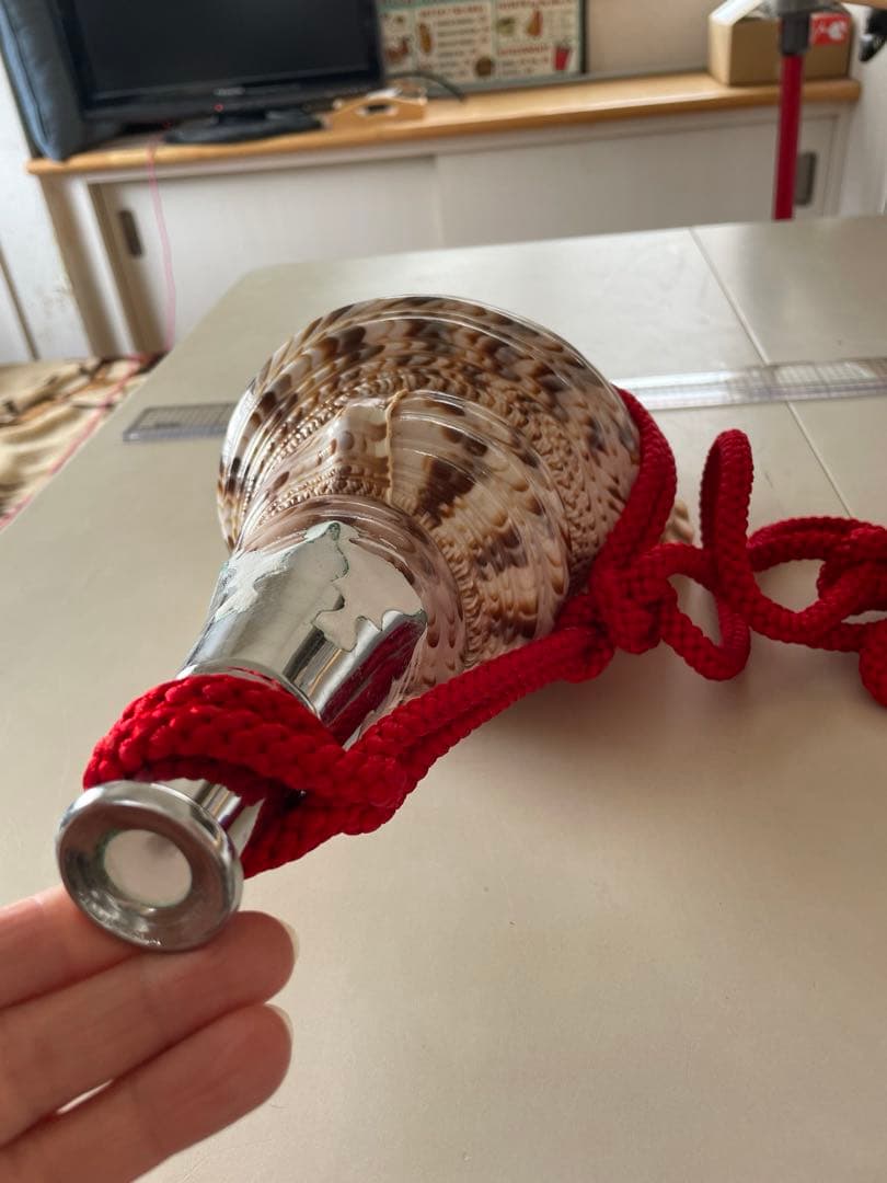 法螺貝　ホラガイ　赤紐