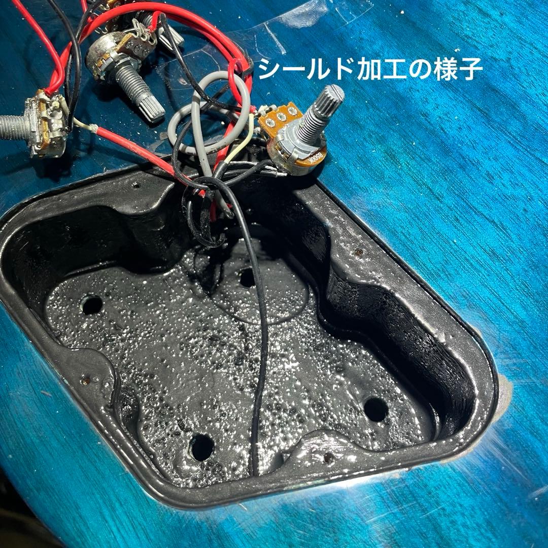 【中古・極美品】Bacchas BLP-BP/R BL-Bフルカスタム