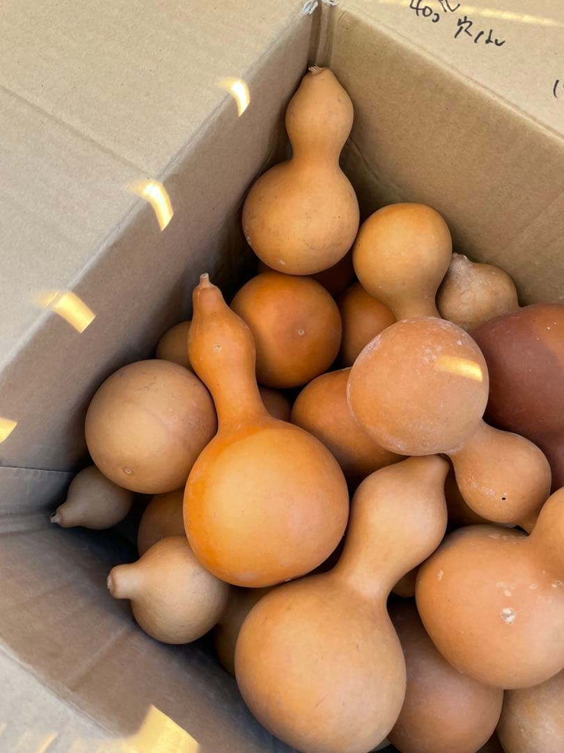 【40個】ひょうたん　瓢箪　千成瓢箪　まとめ売り　無病息災　置物　縁起物(B)