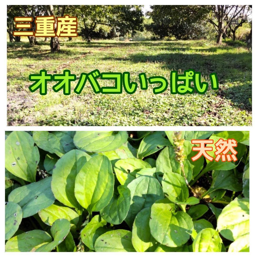 乾燥葉 乾燥野菜 ◎セミオーダーページ◎ ウサギ ハムスター リクガメ 他