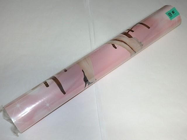 ★カレンダー　2015年　NHK気象予報士　岡村真美子/寺川奈津美/井田寛子さん