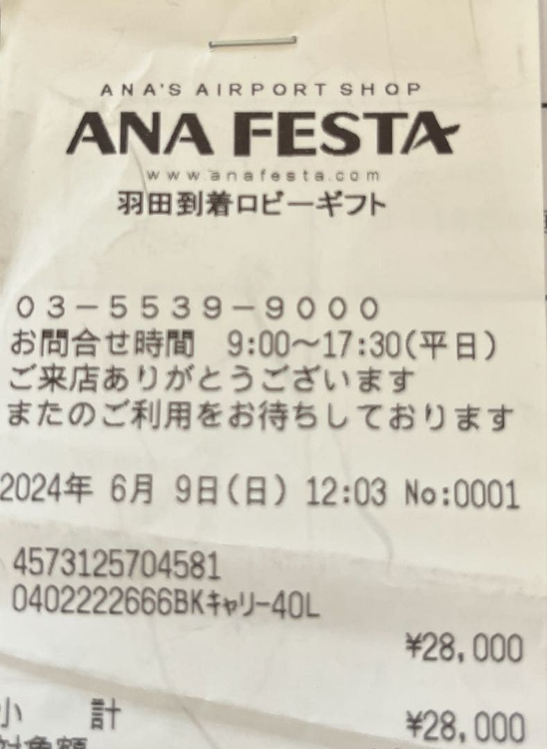 ANA オリジナル フロントオープンキャリー