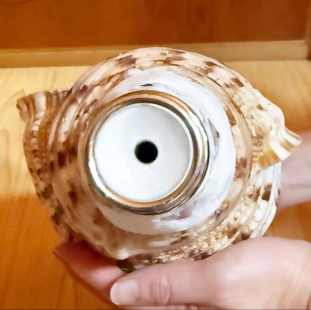 大型修験道法螺貝　38.5㎝　山伏　密教　魔除け　熊よけ❣️ホラガイ　ほら貝