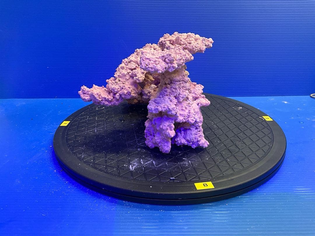 人工ライブロック　No.9-10 無害化処理済