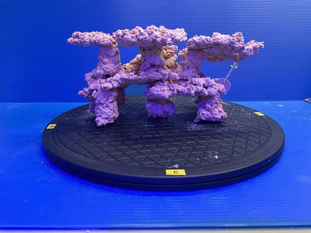 人工ライブロック　No.9-10 無害化処理済