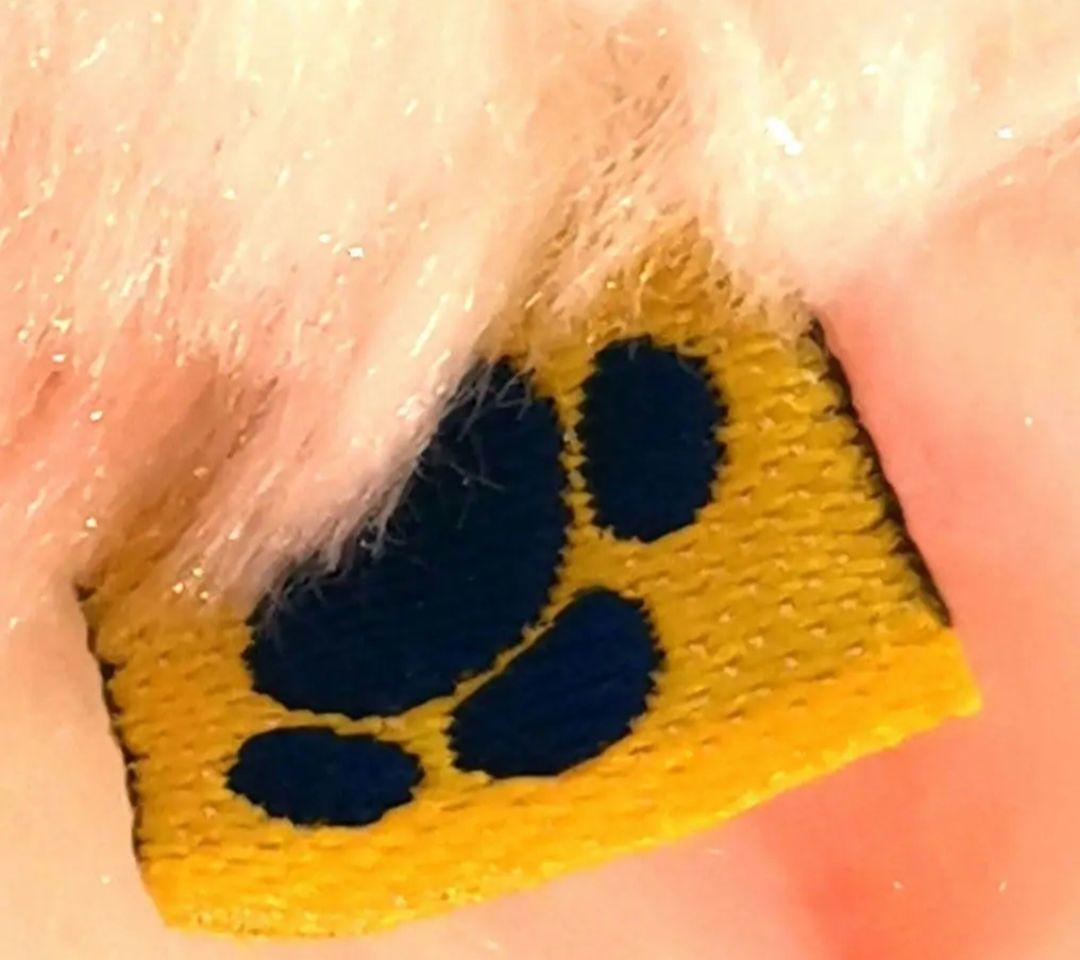 激レア 希少 ビルドアベア さくらテディ 日本限定 ぬいぐるみ 桜