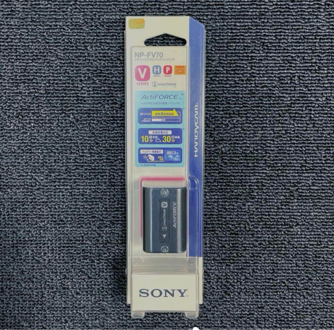 SONY ビデオカメラ HDR-CX560V ハンディカム カメラ バッテリー