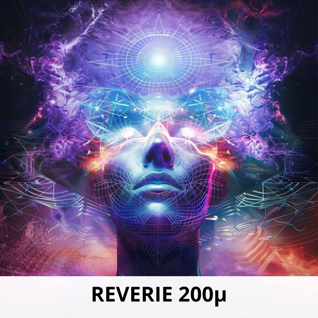 REVERIE 200 × 50+6