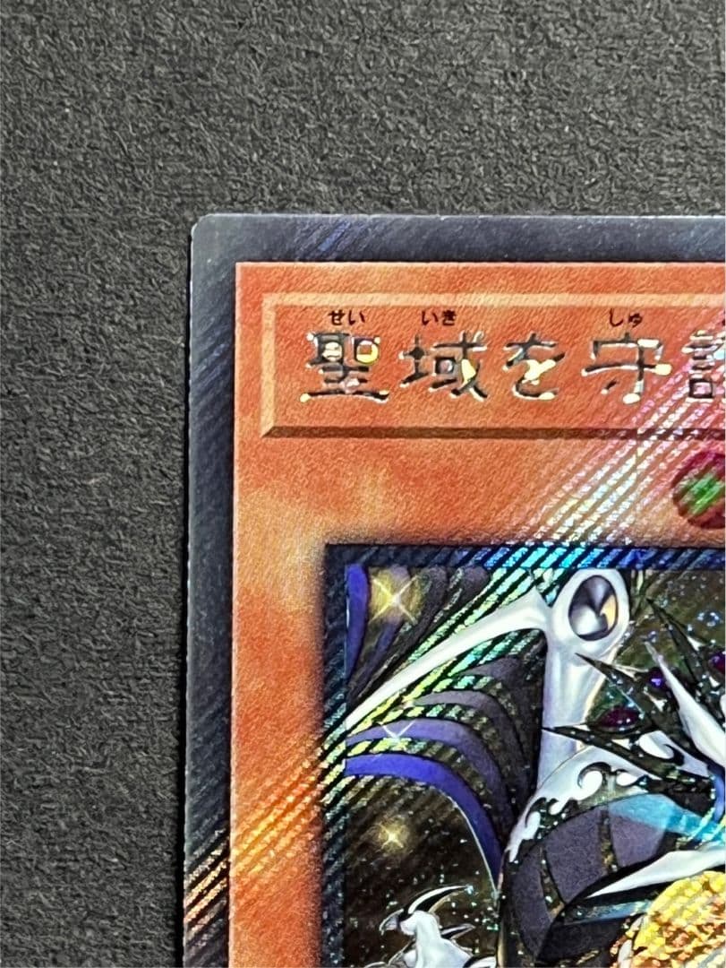 聖域を守護せし光の龍　EXSE エクストラシークレット