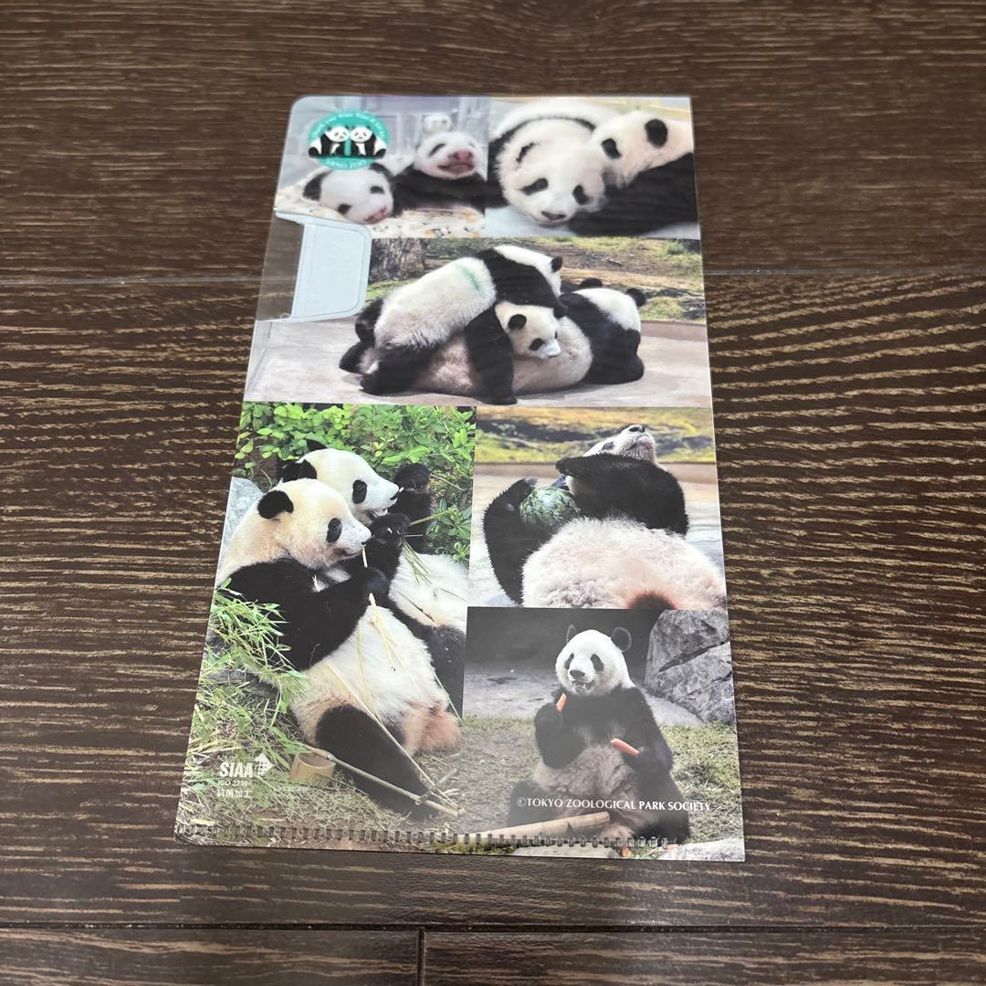 シャオシャオ　レイレイ　ぬいぐるみ　上野動物園　マルチケース付き　パンダ