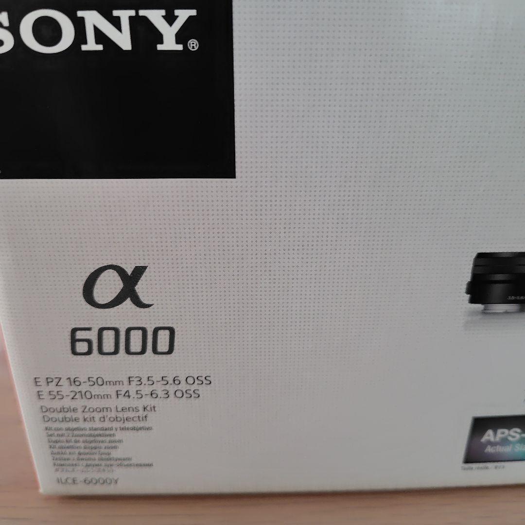 ソニー α6000 ボディ ILCE-6000　SDカード付き