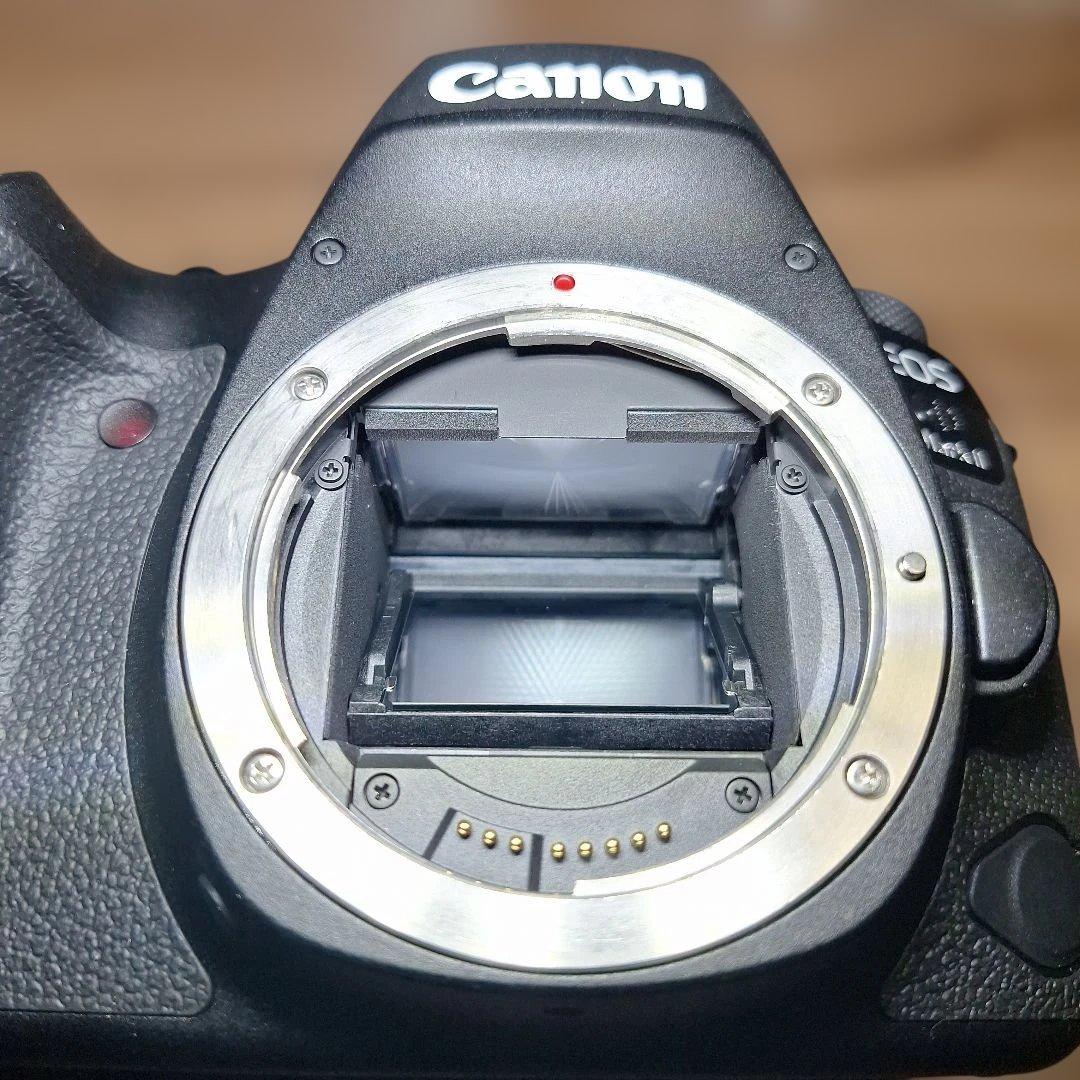 【Tetsukichi】 EOS 6D Mark II