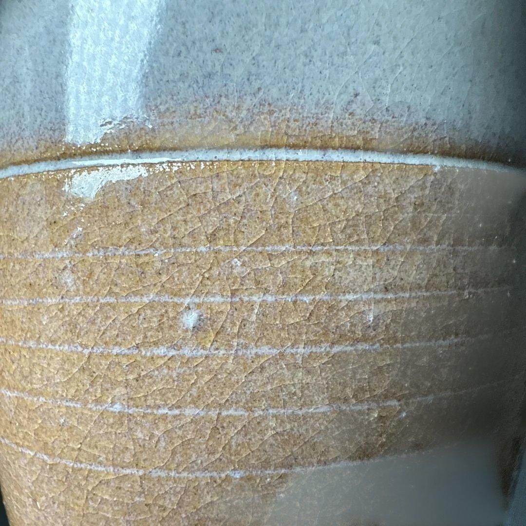 山口県指定無形文化財保持者　波多野善蔵　萩焼　茶入　共箱　仕覆　茶道具　家元旧蔵