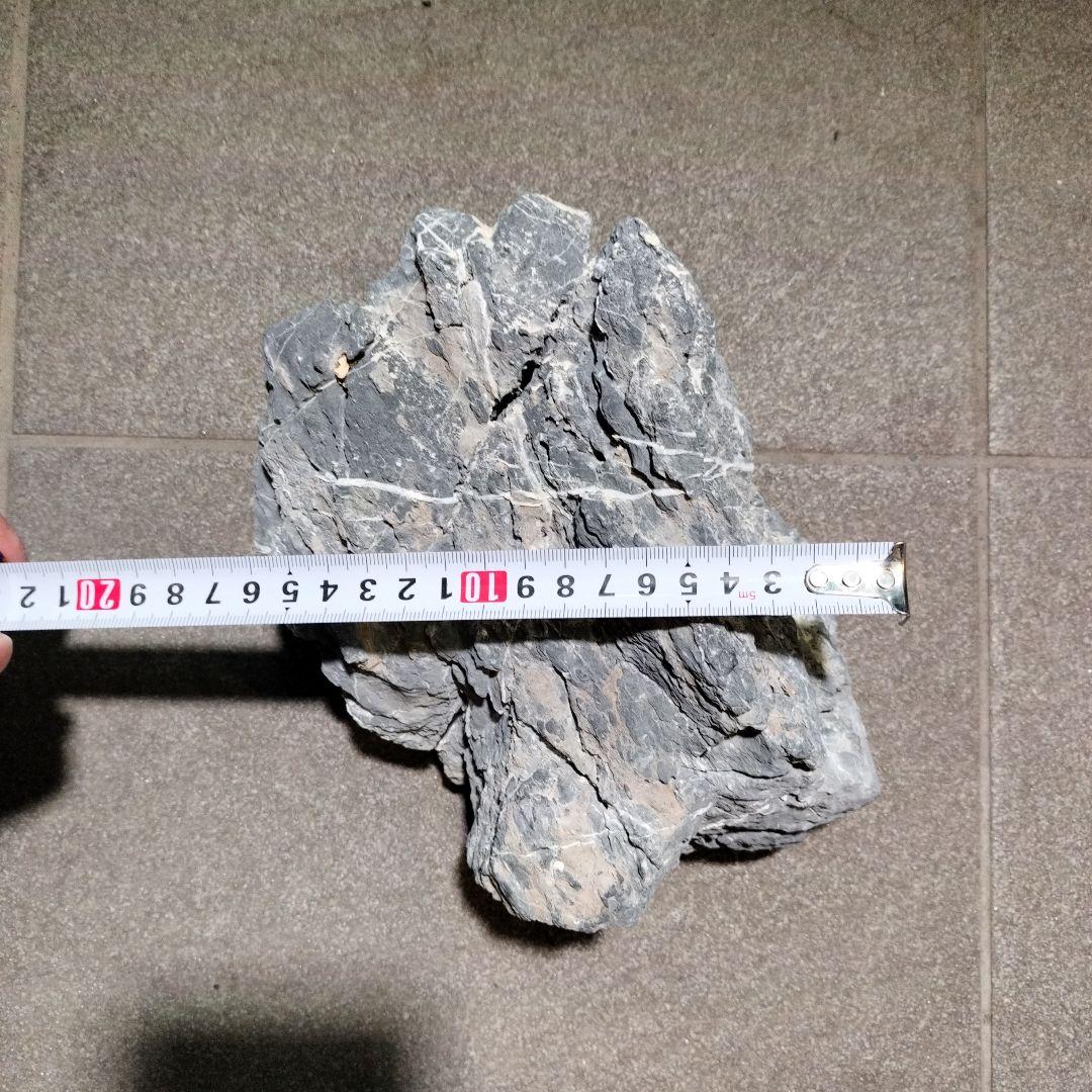 龍王石　4つセット　親石