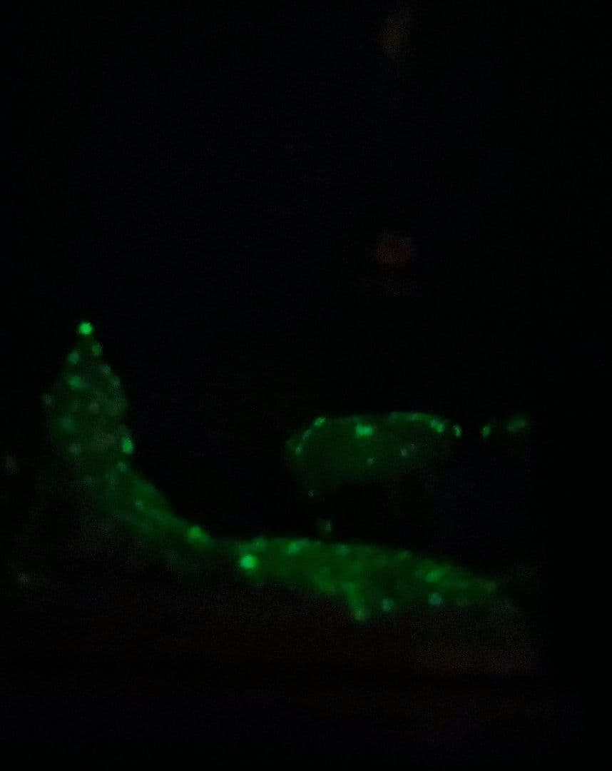 海洋堂　ムーミンヴィネットフィギュア　ムーミン谷の冬　改造ディスプレイ