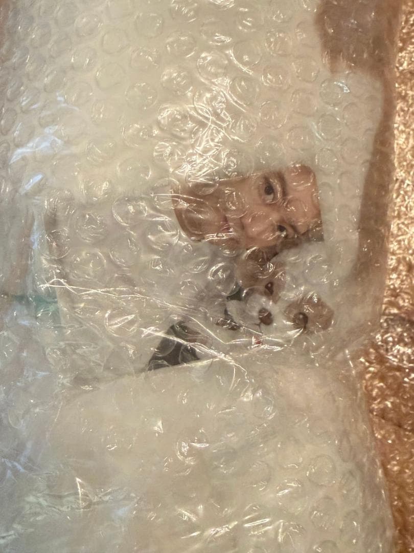 チャニョル City-scape 40CM DOLL ZZAR