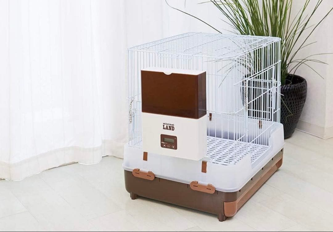 Auto Feeder 自動給餌器