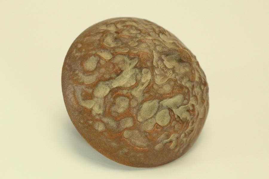 文房具 朱泥 魚紋 筆洗 匙 台付(LC981)