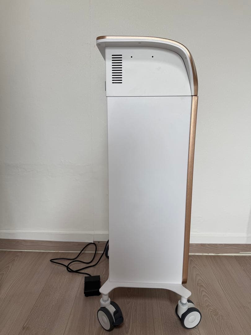 最新型アイススカルプティングガン 導入ガン 美容サロン専用 高浸透 保湿